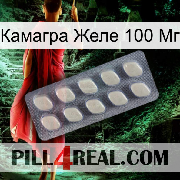 Камагра Желе 100 Мг 08.jpg